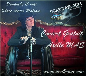 GSXRDAY&rsquo;S 2016 (Sports mécaniques)