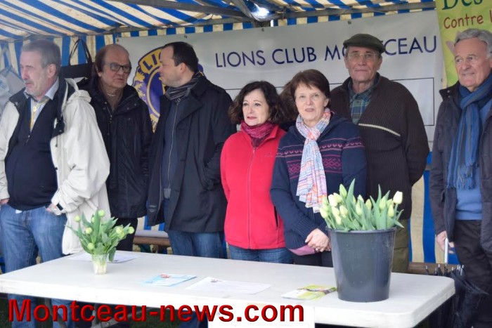 lions 0504163