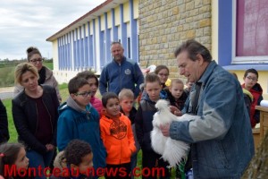 Poulailler pédagogique au centre de loisirs Colette
