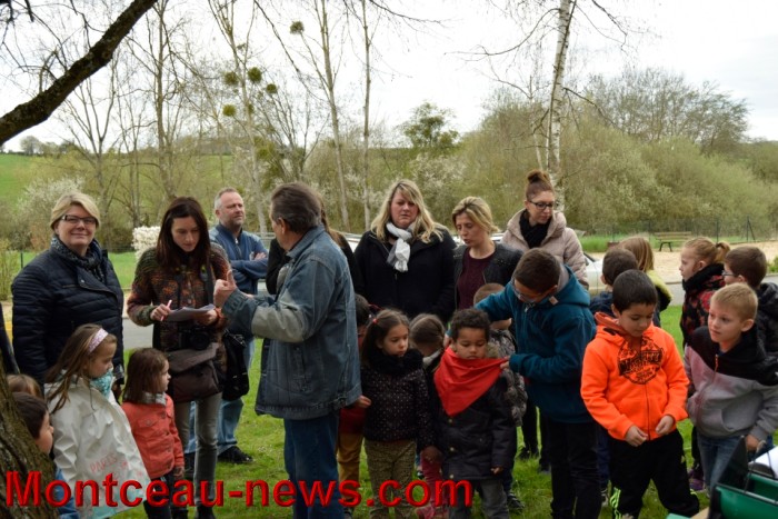 poule colette 1204162