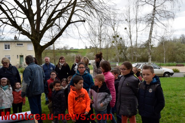 poule colette 1204163