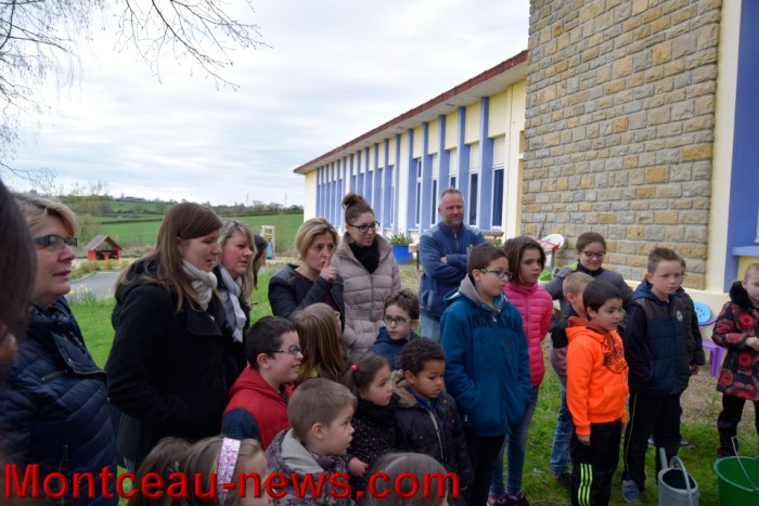 poule colette 1204164