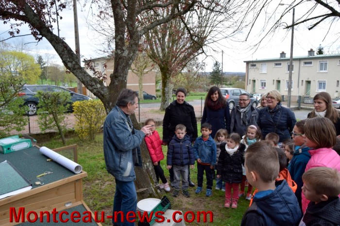 poule colette 1204165