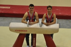 Alliance Elan Gymnique/Montcellienne (Gym)