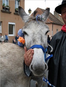 Fête patronale et course à la bourrique à Montcenis (Sortir)