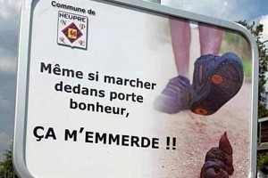Insolite