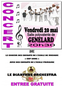 Concert à la salle polyvalente de Génelard (Sortir)