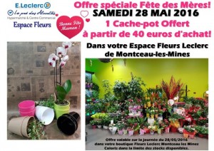 Centre LECLERC Montceau – Espace Fleurs