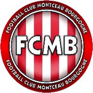 Réactualisé à 6 h 50 – Tournoi national U11 au stade des Alouettes (Foot)