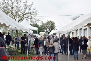 Portes ouvertes aux serres municipales (Montceau)
