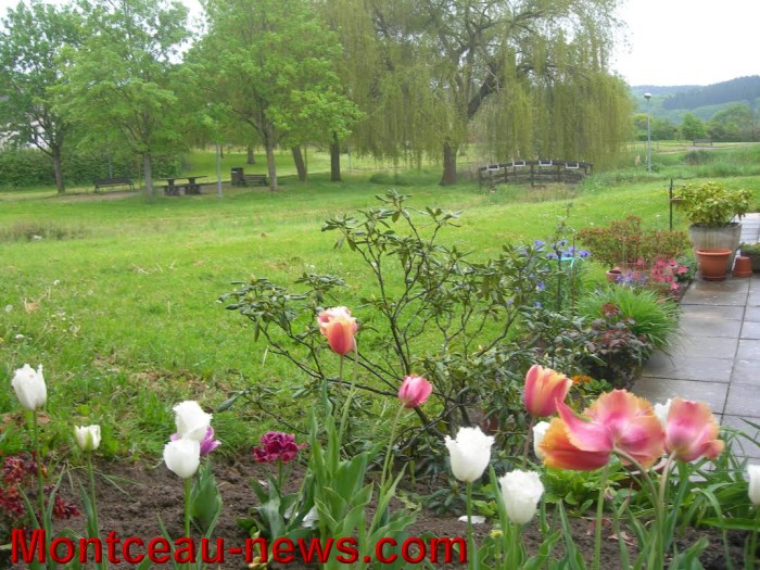 troc plante st val 1005163