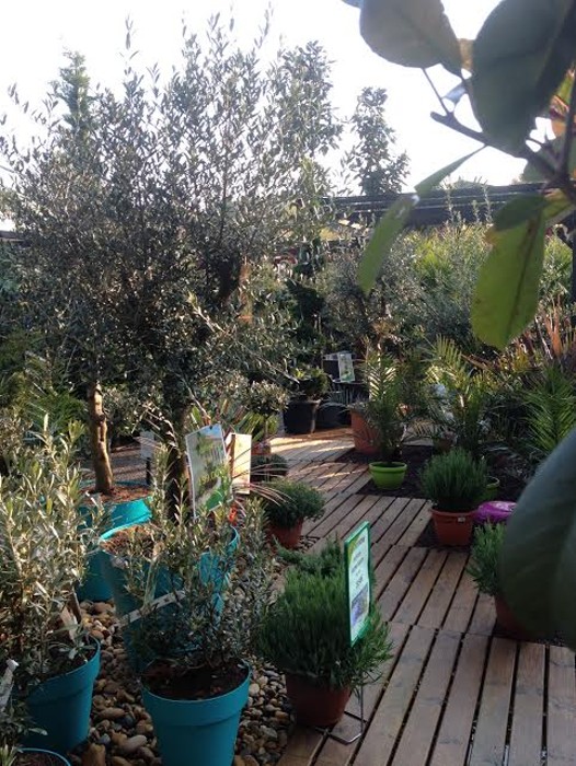 villa g 08051615