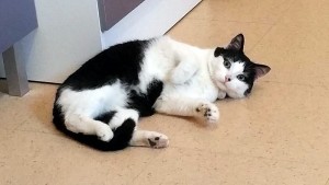 Disparu à Montceau-les-Mines
