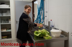 Semaine du développement durable