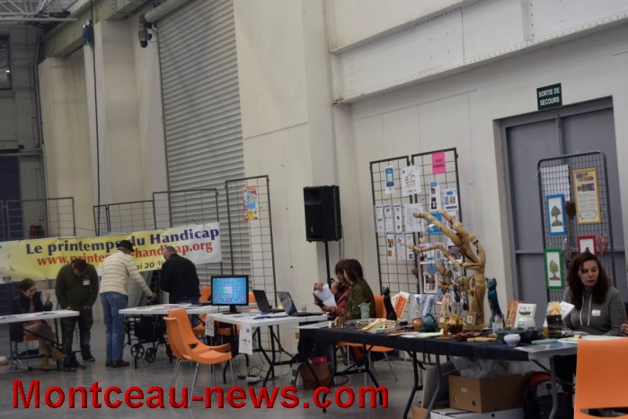 forum handi 01061611