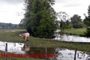 Inondations: la Bourbince sort de son lit…