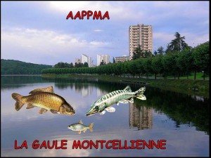 Montceau : La Gaule Montcellienne