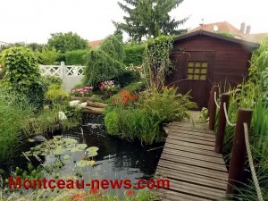 Concours municipal de fleurissement 2016 (Montceau)
