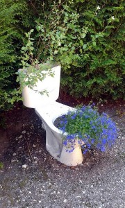 Insolite (Saône-et-Loire)