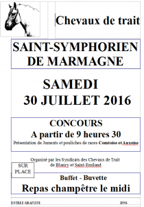 Concours de présentation de chevaux de trait à Saint Symphorien de Marmagne