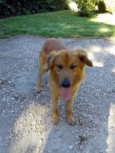 Trouvé à Montceau-les-Mines