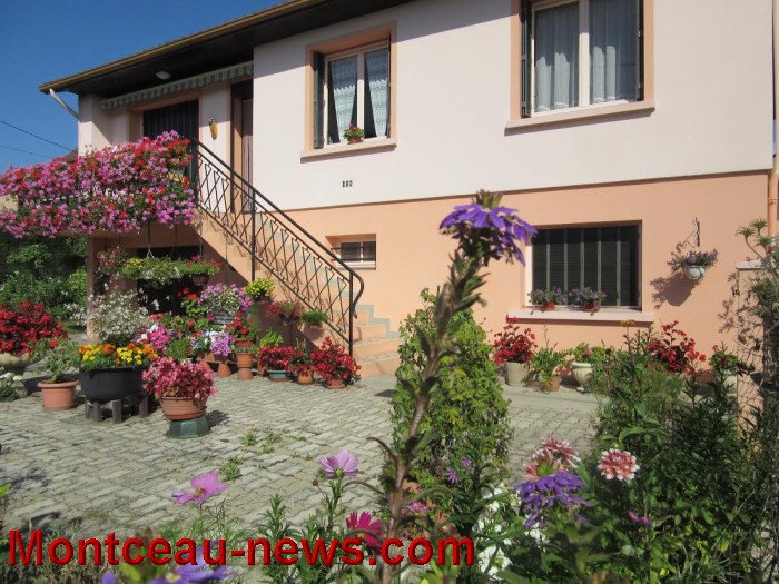 fleurs blanzy 14081613