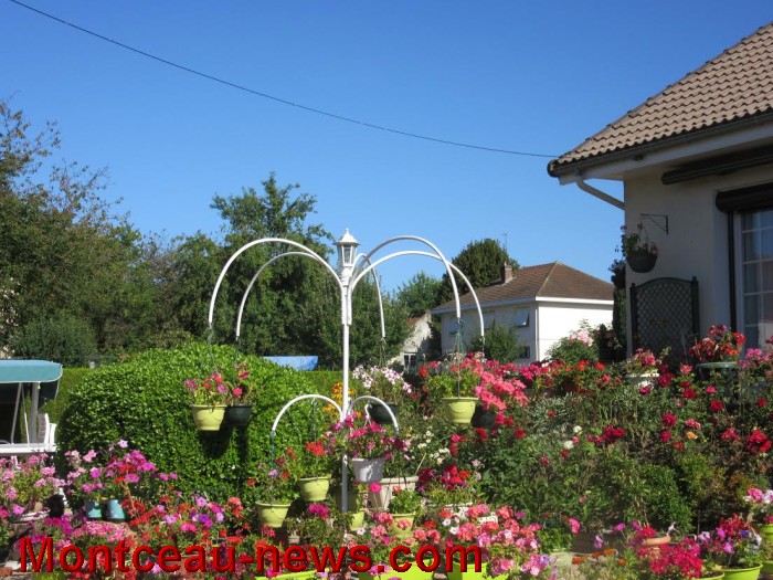 fleurs blanzy 14081618