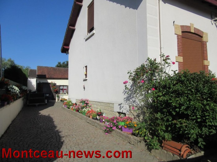 fleurs blanzy 1408165