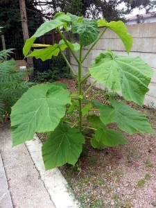 Un lecteur s&rsquo;interroge…