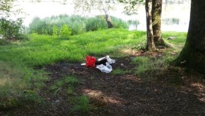 Incivilités – abords du Plessis (Montceau-les-Mines)