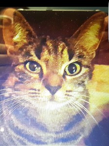 Disparu, place Beaubernard (Montceau-les-Mines)