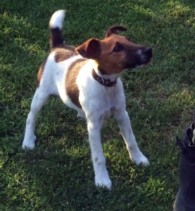 Insolite : disparue à Marizy…