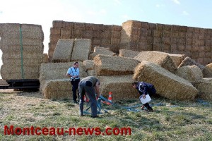 Faits divers – Entre La Guiche et Saint-Bonnet-de-Joux, un jeune ouvrier agricole miraculé !