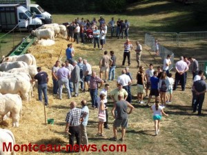 Toulon sur Arroux : Foire Agricole