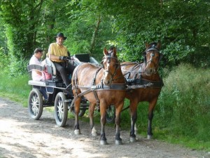 Journée Nationale du Cheval le dimanche 18 septembre 2016