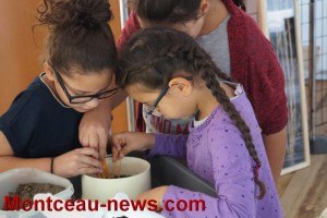 Village des sciences : inauguration de la 5e édition à la Nef du Creusot
