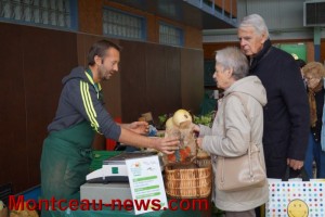 Marché de producteurs de pays à Torcy
