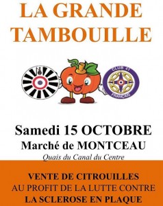 Lutte contre la sclérose en plaques (Montceau-les-Mines)