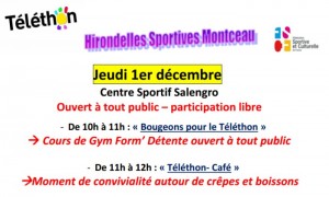 Hirondelles Sportives (Montceau-les-Mines)