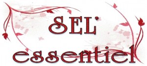 Sanvignes : Sel Essentiel