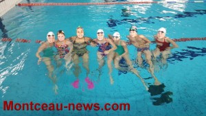 Montceau Olympic Natation (Montceau-les-Mines)