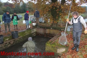 Pisciculture – Etang Pierre Poulain à Pouilloux