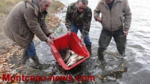 Comité de la Sorme : Empoissonnement au Lac de la Sorme