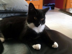 Recherche « Bounty « 