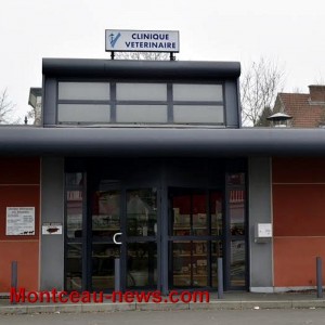 Braquage ce jeudi soir, à la clinique vétérinaire des Alouettes à Montceau…