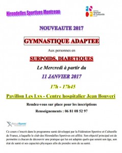 Hirondelles Sportives (Montceau-les-Mines)