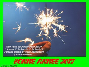 Bonne année 2017