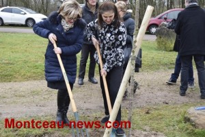 Plantation d’un cerisier du Japon au CRAPA
