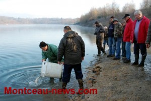 Fédération départementale de pêche