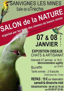 Amis des Oiseaux du Bassin Minier  (Sortir)